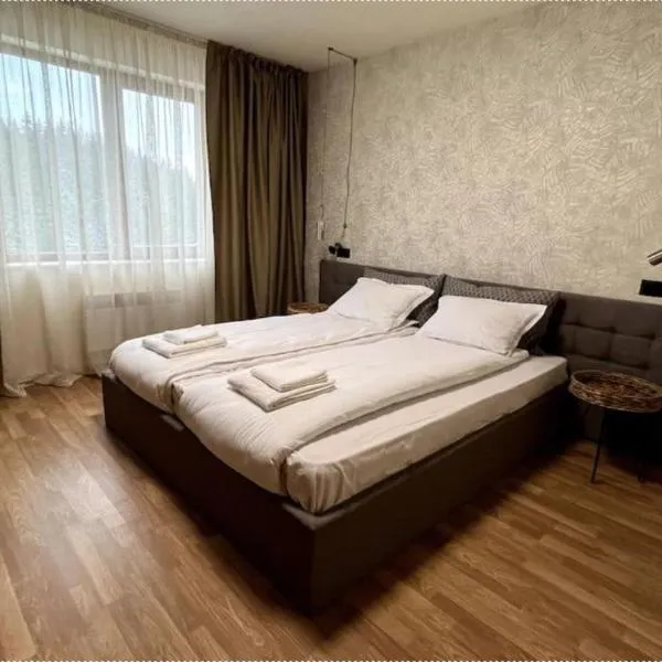 LHApartment!, hotel in Pamporovo
