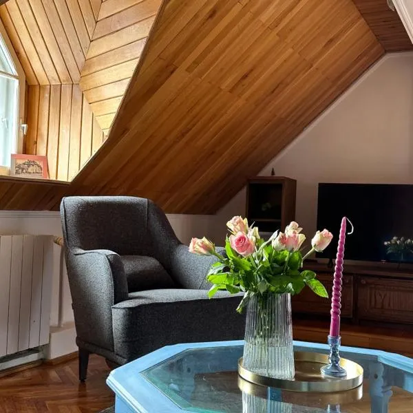 Pine Peak Apartments, ξενοδοχείο σε Predeal