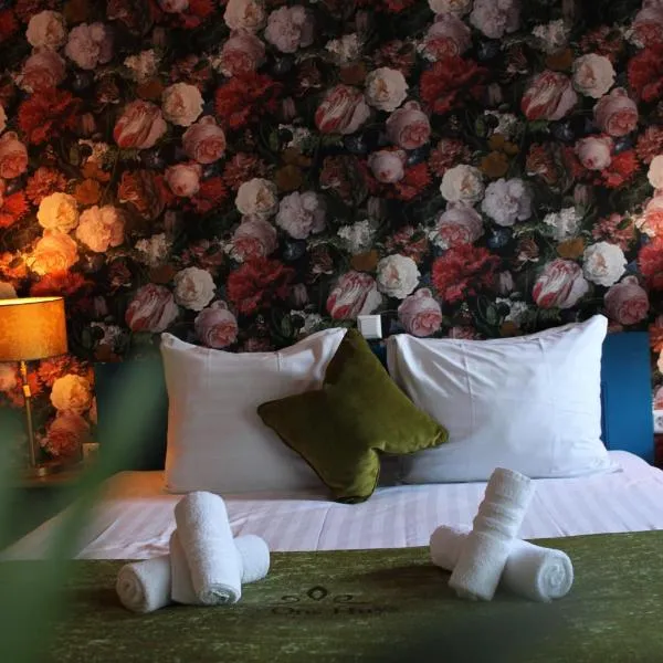 Hotel West Inn, hotel in Hippolytushoef