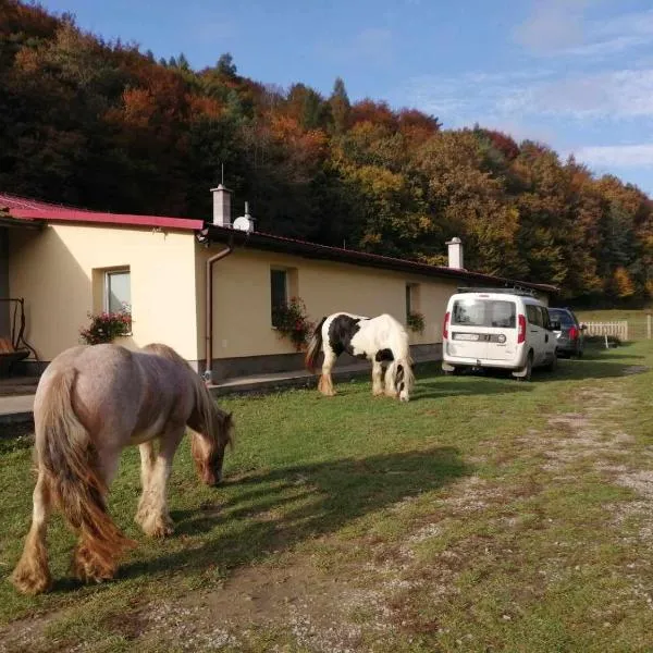 Oddychový pobyt na rodinnej farme, hotel v destinaci Matiaška