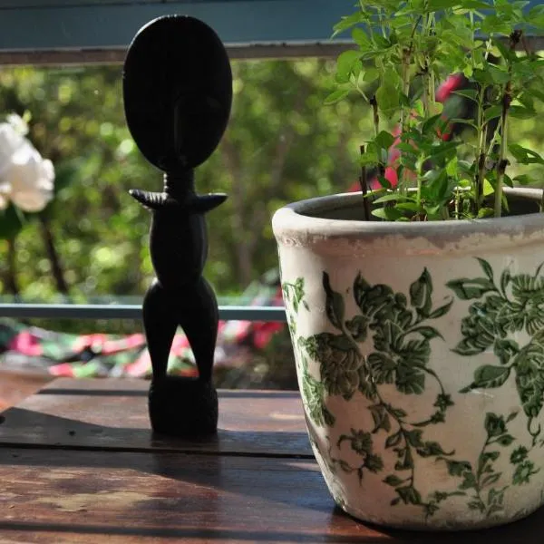 Casa na floresta na Chapada dos Veadeiros，位于圣若热岛的酒店