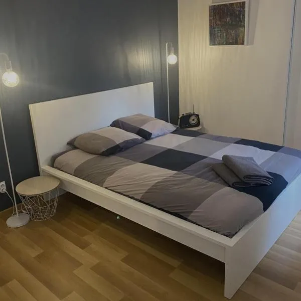 Chambre confort centre ville chez l'habitant, Hotel in Lyon