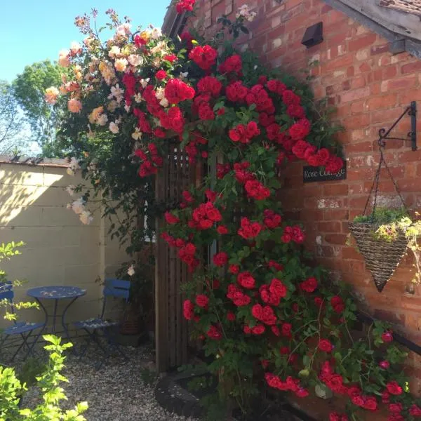 Rose cottage, hotel in Wellington