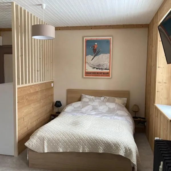 Studio chaleureux au départ des sentiers et pistes de ski, hotel en Lajoux
