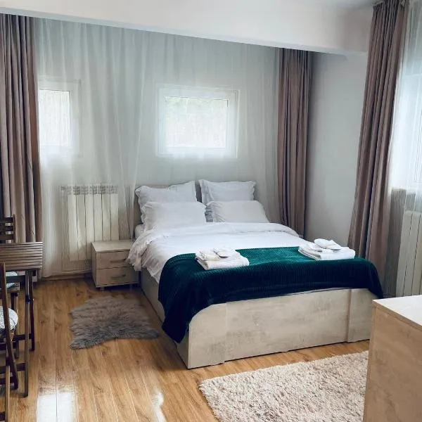 Studio Poema Ultracentral Sinaia, hotel en Sinaia