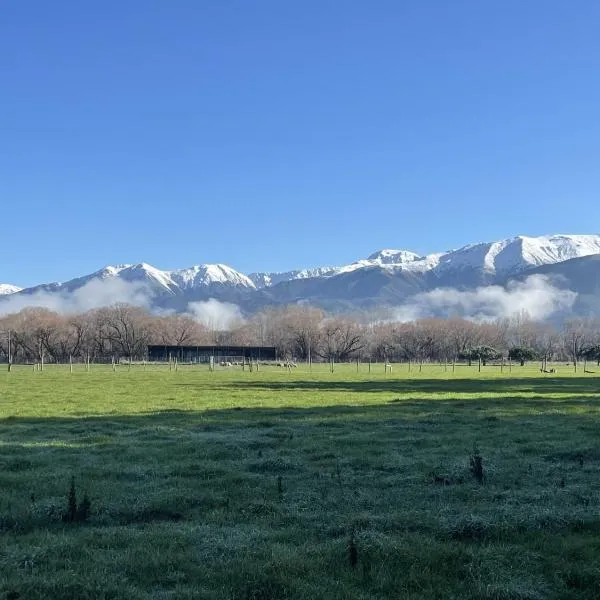 Birdsong Alley Bed and Breakfast、ハンマー・スプリングスのホテル