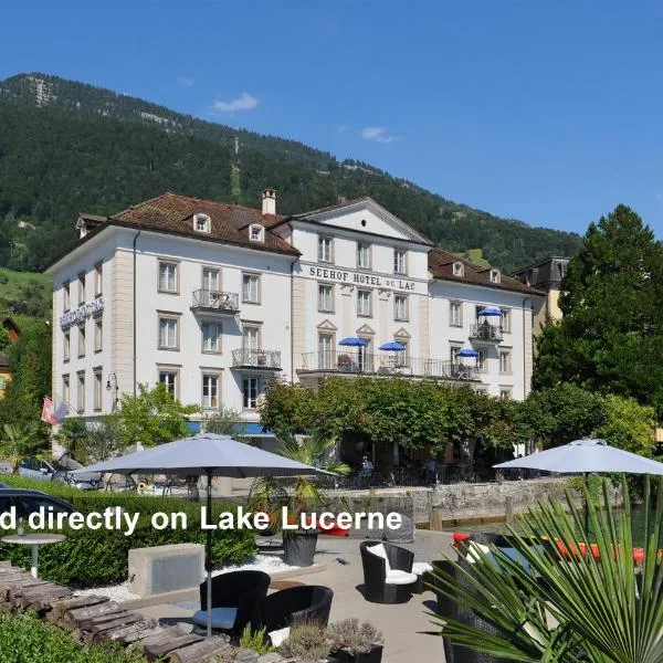 Seehof Hotel Du Lac, hótel í Weggis