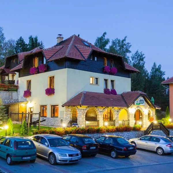 Guest House Vila Bajka, hotel din Zlatibor