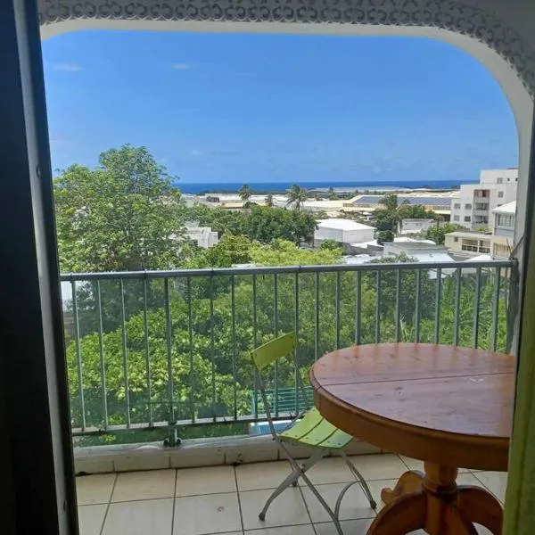 Appartement spacieux, hôtel à Sainte-Clotilde
