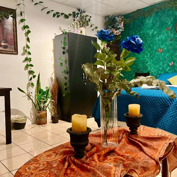"The Enchanted Forest" inside The Alchemist Café - Shuttle services available, Antigua Guatemala