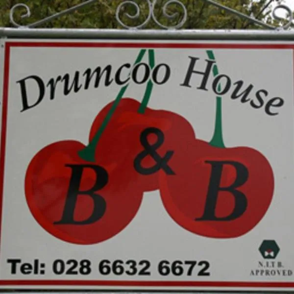 Drumcoo Guest House, Hotel in Enniskillen