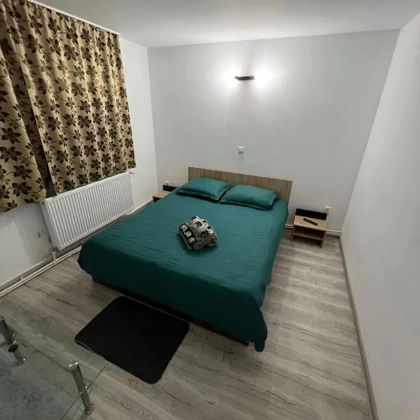 Garsoniera Casa Dragoeni, Targu Jiu, hotel in Târgu Jiu