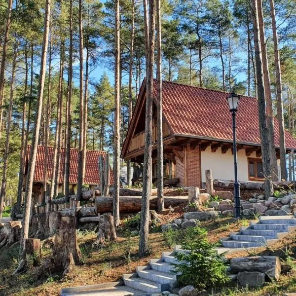 Osada Swory domki w lesie nad jeziorem, Hotel in Małe Swornegacie