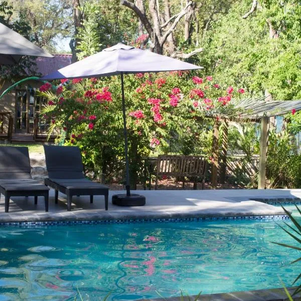 Acacia Cottage, hotel v destinácii Maun