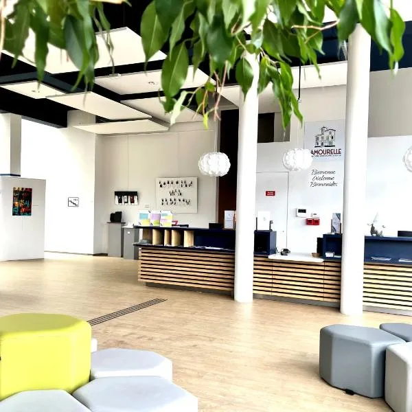 CIS Lamourelle Centre International de Sejour, hotel en Carcasona