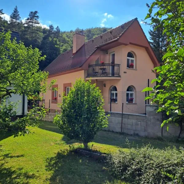 Chata Remata 879, hotel in Handlová