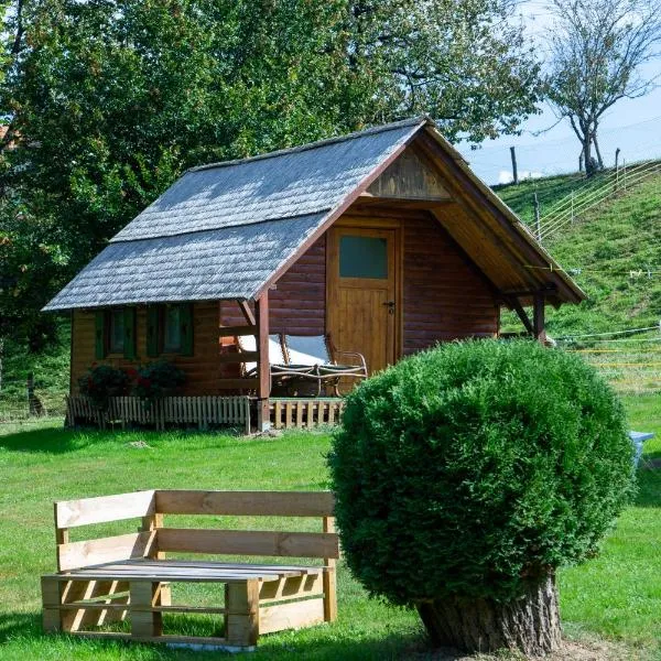 Camping Silva, hotel in Ljutomer