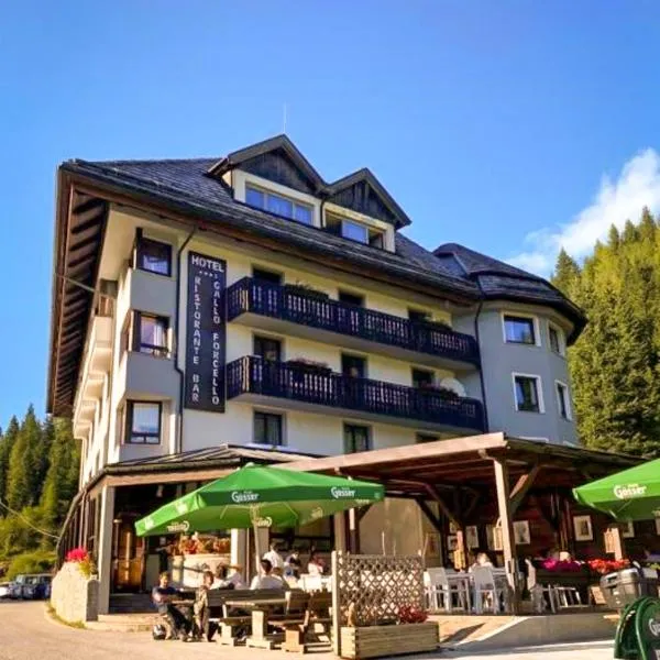 Biker Hotel Al Gallo Forcello, hotel en Passo Pramollo