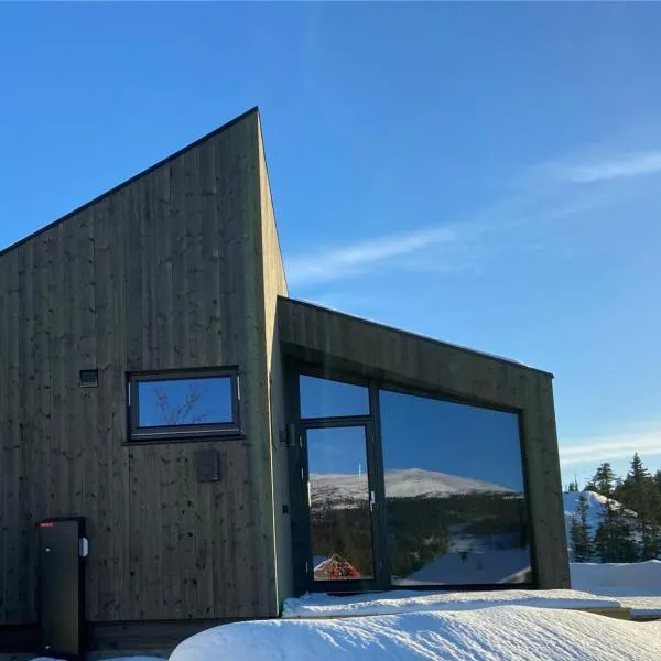 Norefjell, ny flott hytte til leie, hotel in Surteberg