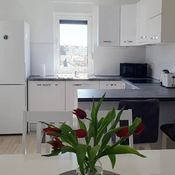 Apartment Dino, Zadar, hôtel à Zadar