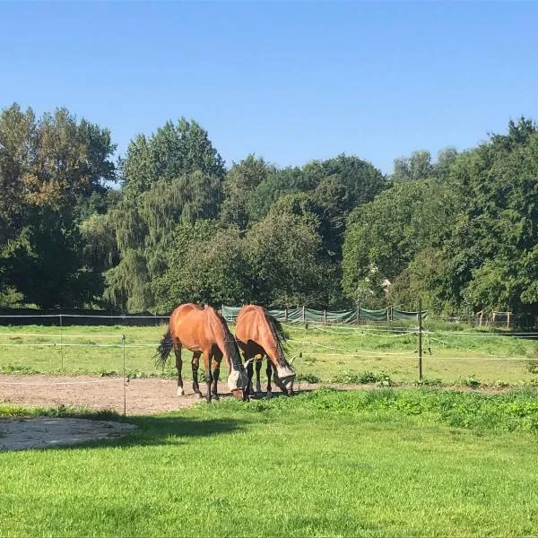 Chez Raoul - Chambres de charme & de luxe à la Campagne - 15min Charleroi Airport، فندق في نيفيل