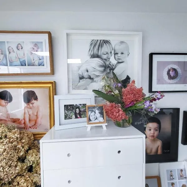 Artist Photographers Home Studio, hotel in Auckland