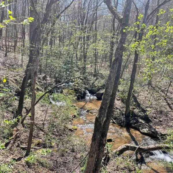 Hilltop Haven w/Creek&Waterfall Dntwn McCaysville, hôtel à McCaysville