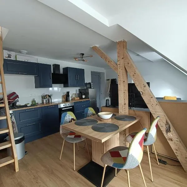 Duplex F2 au pied des pistes du lac blanc, hotel en Orbey