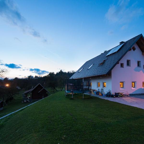 Holiday Home Planina