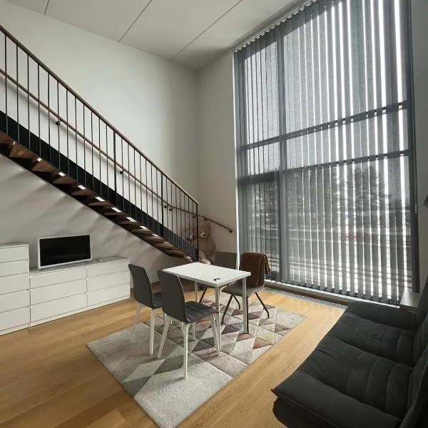 Spacious loft apartment with a lake view, מלון בטמפרה