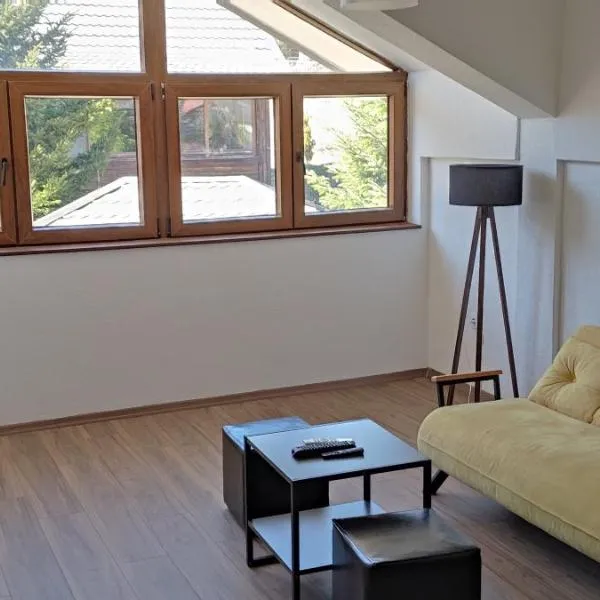 Mickey's Apartments, hotel v destinaci Mavrovo