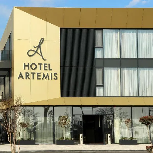 Hotel Artemis, hotel v destinaci Oradea