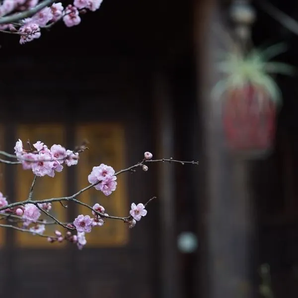Tuo Tuo Guest House, hotel di Lijiang