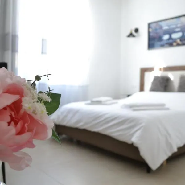 Dion Guest House,位于佛罗伦萨的酒店