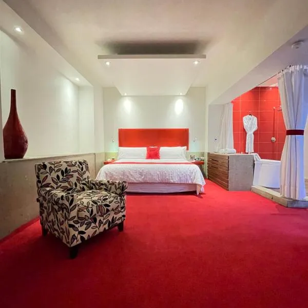Zújmú Business Boutique Hotel, hotel di Aguascalientes