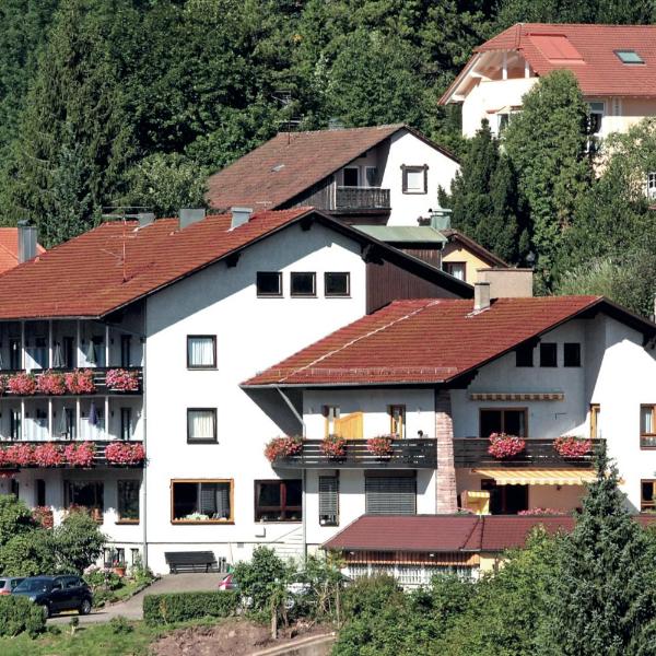 Aparthotel Schwarzwald Panorama