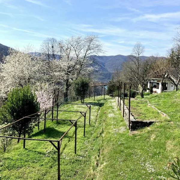 Vilijev Raj, a property with cottage in the countryside, hotel in Avče