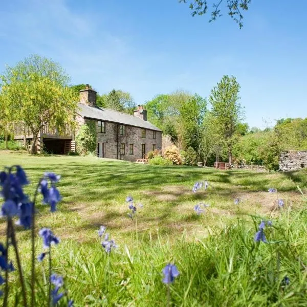 Llanerch, hotel em Bala