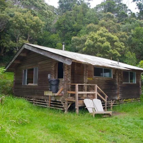 와이메아에 위치한 호텔 The Cabins at Kokee