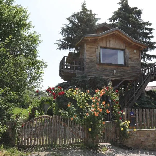 Baumhaus,位于Imbach的酒店