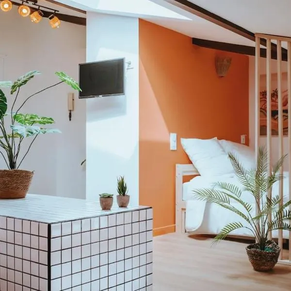 Le Nid Douillet de l'Hypercentre, hotel in Toulouse
