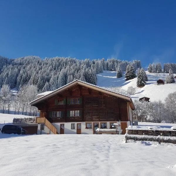 BnB Fellacher, hotel in Adelboden
