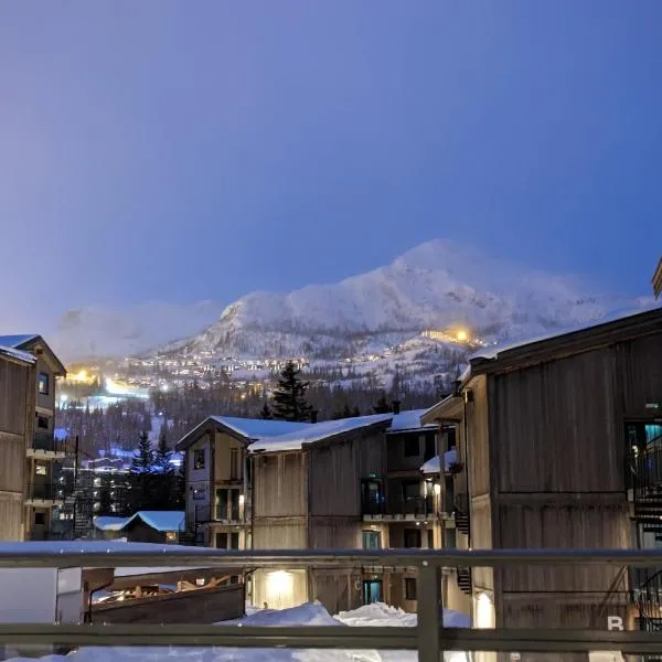 Ski in/out Appartment Hemsedal, ξενοδοχείο σε Hemsedal