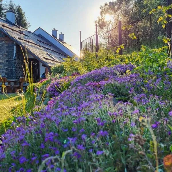 Chalupa u Anenské, hôtel à Žďárský Potok