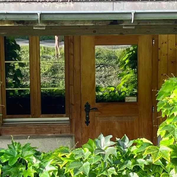 Chalet ALPEN LOTUS, hotel in Innertkirchen