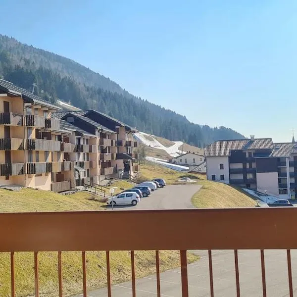 Appartement Lélex vue sur les pistes, hotel in Lélex