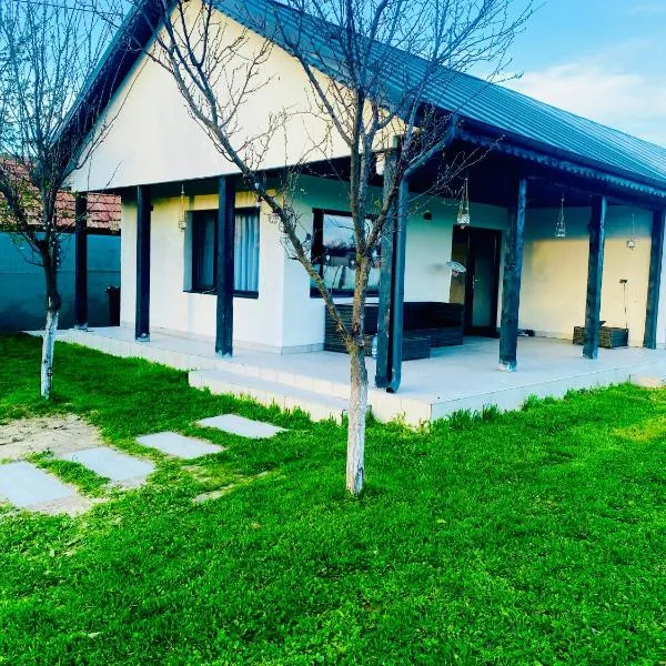 Tacchini's Home，Plosca的飯店