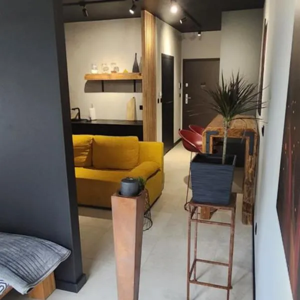 Design Vistula old town apartment free parking, hotel v Krakově