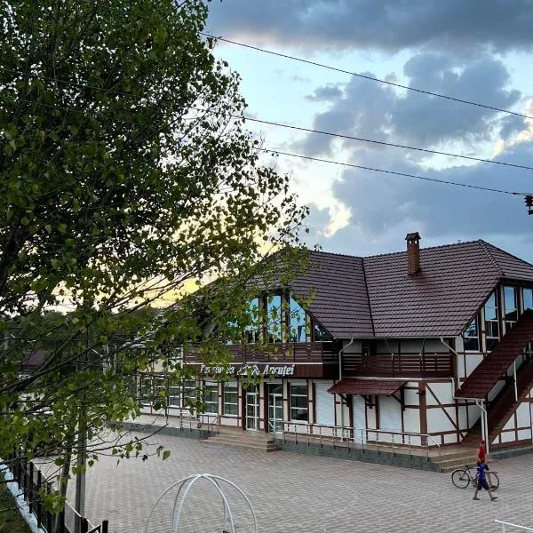 Pensiunea Ancuței, hotel a Şerpeni