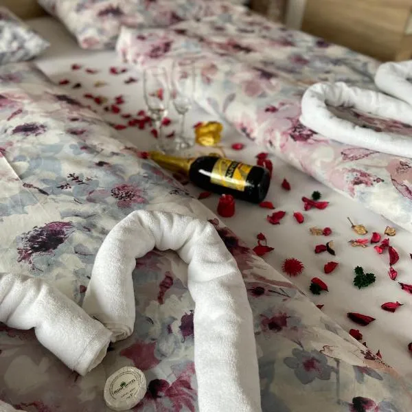 Hotel Irish, hotel em Bihać